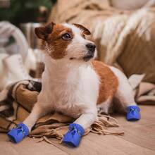 4 件装小型犬防水鞋 - 保护宠物爪子并保持干燥，宠物雨靴，宠物外出的完美礼物，耐用且易于清洁 - 藍色 - 查看 10