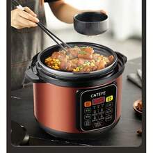 CATEYE Multifunctional Rice Cooker Large Capacity Electric Pressure Factory Wholesale Gift Heloween Gifts Christmas Gifts - EU E Type Plug(220-240V) - View 2
