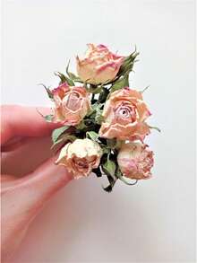 Dried Ivory Pink Mini Roses: Boho Wedding Crafts, Resin Art - Pink - View 7