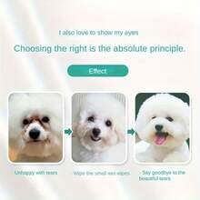 200 piezas Toallitas húmedas para limpiar manchas de lágrimas de mascotas, toallitas de tela no tejida para limpiar legañas de los ojos, adecuadas para perros y gatos - Multicolor - Ver 5