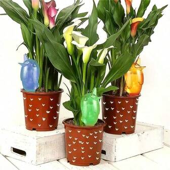 1pc Self Watering Automatic Watering Spike Tool Cute Birds Indoor Watering Device Dripper Plant Flower Watering For Home Travel