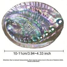 1 件天然鲍鱼壳，家居装饰，贝壳用于水族馆装饰，鼠尾草燃烧，DIY 工艺品最佳礼物 - 彩色 - 查看 15