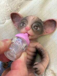 1 PC 4.5 Inch Mini Silicone Reborn Cat Doll, Mini Palm Silicone Doll, Washable Palm Animal, Realistic Soft Touch, Skin Texture Silicone Doll, Ideal Gift - Multicolor - View 9