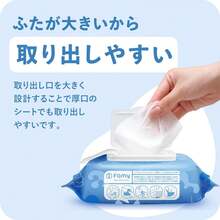 ファミペット ウェットティッシュ (960枚 (80枚 x 12パック)) - 960枚(80枚*12個) - チェックする 5