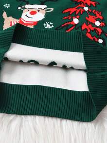 Young Boy Christmas Reindeer "Merry Christmas" Pullover Sweater, Suitable For Spring, Autumn, Winter - Green - View 7