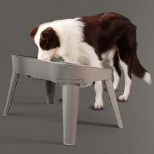 Elevated Dog Bowls Raised Feeder Non-Slip And No Spill Design Bowl Pet Supplies For Small Medium Large Dogs - 咖啡棕 - 查看 15
