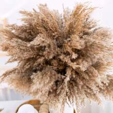 5/10/15/25/30支装蓬松高蒲苇草花束 - 17英寸天然棕色波西米亚风婚礼花艺、圣诞家居及派对装饰 - 棕色 - 查看 9