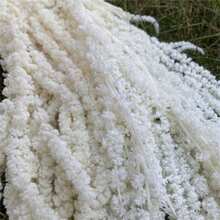 5pcs Elegant Preserved Wisteria Vine - Dried Flowers, Suitable For Wedding Bouquets, Wall Decor And Home Accents - White - View 4