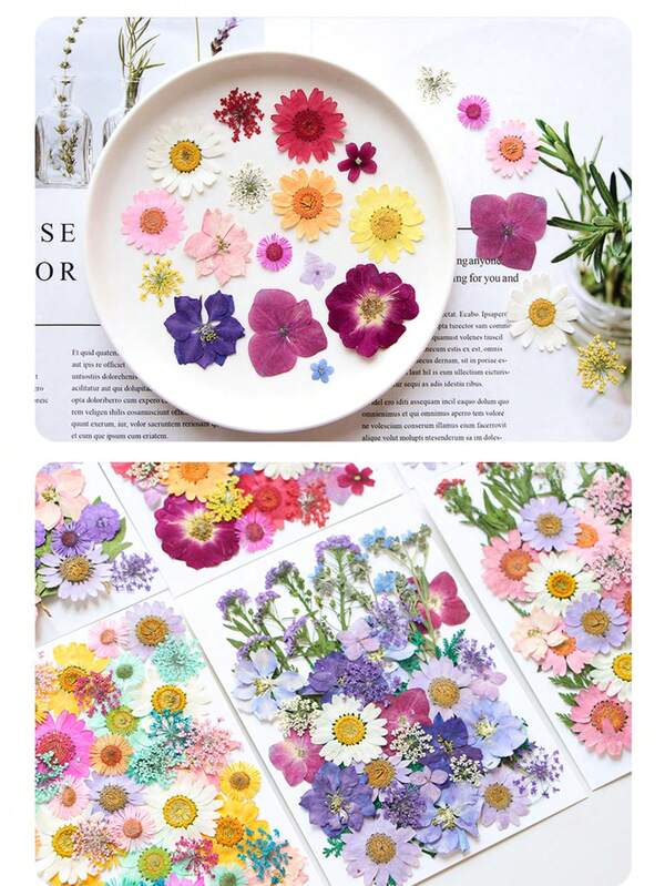 1 Piece Of Mixed Color Dry Embossing Set, Various Natural Flowers And Leaves, Suitable For DIY Art, Crafts, Scrapbooks, Epoxy Resin Jewelry - Suitable For Bookmarks, Specimens, DIY Photo Frames, Petal Makeup, Drip Jewelry And Other Craft Kits (Styles Are Random)