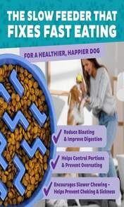 Outward Hound Medium Slow Feeder Bowl, Puzzle Maze For Fast Eaters, Small To Medium Dogs, Helps Prevent Bloat &Amp; Aid Digestion, Holds 2 Cups Wet Or Dry Food, Non-Slip, Made Without BPA, Turquoise - ColorA - 查看 4