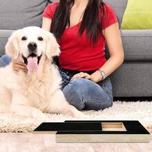 File Double Sided Mat Scratch Board Pet Nail Care Grind Nails Dog Scratch Pad - Black - View 5