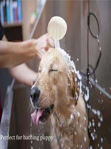 1 件装多功能水龙头延长器，带淋浴喷头，总长 51.57 英寸，易于使用的洗发适配器，沐浴淋浴喷头，简单快捷的宠物洗澡连接器，家居浴室装饰，返校季