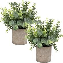 人造桉树盆栽植物小型假植物盆栽仿桉树盆栽套装适用于家庭架子书桌装饰办公桌家居浴室农舍房间咖啡桌装饰，小型家居植物用于桌面装饰，室内绿植桌面装饰中心装饰 - 彩色 - 查看 1