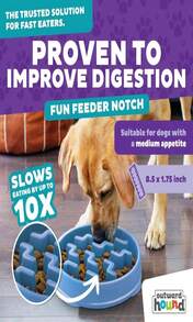 Outward Hound Medium Slow Feeder Bowl, Puzzle Maze For Fast Eaters, Small To Medium Dogs, Helps Prevent Bloat &Amp; Aid Digestion, Holds 2 Cups Wet Or Dry Food, Non-Slip, Made Without BPA, Turquoise - ColorA - 查看 3