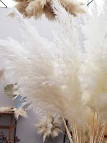 10/20/30/40 Pcs, 17.7 Inch/45 Cm Tall Fluffy White Natural Pampas Grass Bouquet, Suitable For Weddings, Boho Style, Summer/Fall Table Decor, Graduation, Back To School, Independence Day, Mother's Day, Christmas, And An Ideal Gift & Decoration - White - View 10