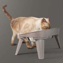 Elevated Dog Bowls Raised Feeder Non-Slip And No Spill Design Bowl Pet Supplies For Small Medium Large Dogs - 咖啡棕 - 查看 10