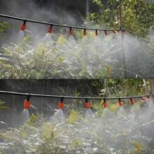 50个橙色雾化喷嘴降温微型喷头花园草坪灌溉自动花卉浇水滴灌系统 - 橘子黑色 - 查看 5
