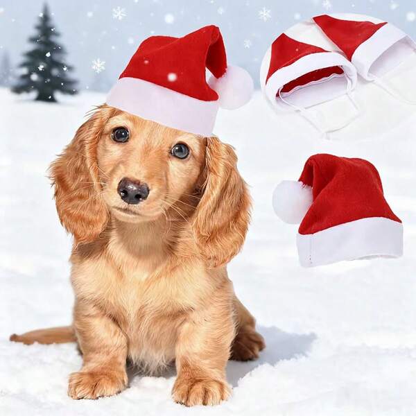 4 piezas Pequeños sombreros navideños para mascotas - Ribete blanco suave y ribete rojo, con pompón blanco en la parte superior, cómodo y con diseño, fácil de usar, adecuado para Pomeranos, Chihuahuas, Shih Tzus y otras razas pequeñas de perros - Accesorios de disfraz navideño para mascotas, adecuado para fotos y desfiles festivos, cinta a rayas blanca y roja suave y cómoda, correa de se ajusta a perros y gatos pequeños, ropa para perros, sombreros para perros pequeños, disfraces de perro divertidos, accesorios para mascotas, sombreros para mascotas