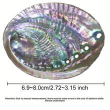 1 件天然鲍鱼壳，家居装饰，贝壳用于水族馆装饰，鼠尾草燃烧，DIY 工艺品最佳礼物 - 彩色 - 查看 12