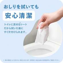 ファミペット ウェットティッシュ (960枚 (80枚 x 12パック)) - 960枚(80枚*12個) - チェックする 4