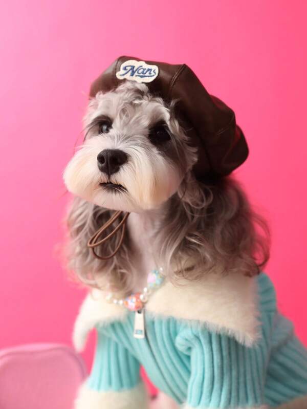1pc Dog Accessory Photo Prop Beret Hat, Pet Decoration Hat