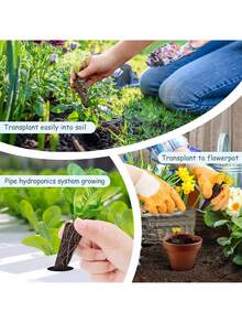40/20/10 szt. gąbek do uprawy, wymienne kapsułki nasienne do wzrostu korzeni kompatybilne z Aerogarden, zestaw z etykietami do hydroponicznych systemów ogrodowych, do hydroponicznych systemów ogrodowych, tabliczki z nazwami roślin do ogrodu zewnętrznego, nasiona, tabliczki do samodzielnego ogrodnictwa, słupki do identyfikacji roślin, słupki identyfikacyjne