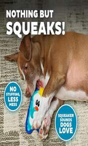 Outward Hound Durablez Minis Stuffing-Free Squeaky Plush Dog Toy For Puppies &Amp; Small Dogs - Interactive, Soft Yet Tough, No Mess, Jumbo Squeaker, Long-Lasting Play, Fox - 紅色 - 查看 4