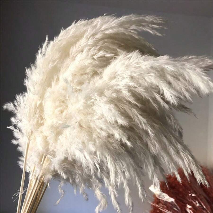 10 piezas, 45cm de alto Ramo de flores de pasto pampa blanco natural esponjoso, decoración de mesa para bodas, estilo bohemio, verano y otoño, graduación, regreso a clases, Día de la Independencia, Día de la Madre, Navidad