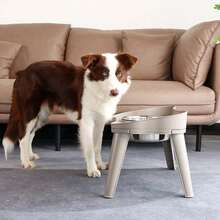 Elevated Dog Bowls Raised Feeder Non-Slip And No Spill Design Bowl Pet Supplies For Small Medium Large Dogs - 咖啡棕 - 查看 2