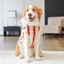 1pc Plush Pet Hoodie - Thick & Warm, Soft & Comfortable, Autumn/Winter Dog Clothes, Plush Pet Apparel, Fashionable Striped Dog Hoodie, Machine/Hand Washable, Suitable For Small/Medium/Large Pets, Dog & Cat Supplies, Fits Over 20 Breeds (XS-8XL) - Red - View 4