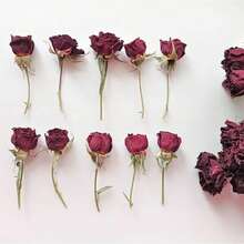 Dried Burgundy Mini Roses (5pcs) - Floral & Resin Crafts