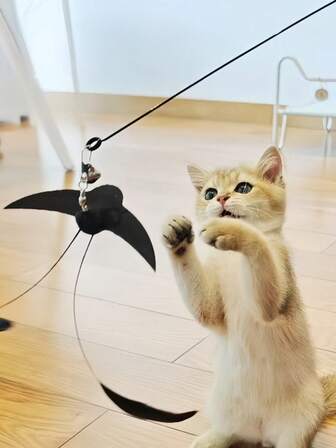 1 Cat-Teasing Stick With Sucker, Which Can Be Held By Hand. (The Products Are Divided Into Ordinary Suction Cups And Powerful Suction Cups. It Is Recommended To Buy A Powerful Suction Cup With Stronger Suction. ) Cat Toys, Boring Toys