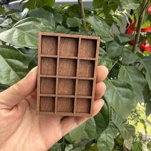 Estantería de madera en miniatura para baratijas, soporte de exhibición para especímenes minerales