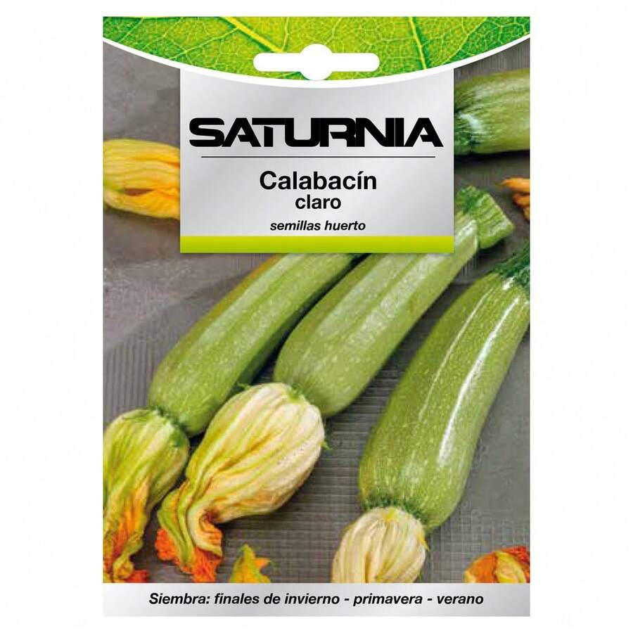 Semillas Calabacin Claro (5 gramos) Semillas Verduras, Horticultura, Horticola, Semillas Huerto. - Verde - Ver 1