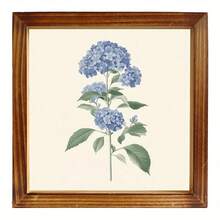20.32x20.32 Summer Blue Hydrangea Wall Art With Wooden Frame - Elegant Floral Decor Living Room, Kitchen, Bedroom, Laundry, Bathroom - Mother'S Day Mom, Son, Daughter, Friend, Floral Home Decor - Black-1 - View 1