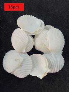 20 piezas de conchas de vieira naturales, conchas de mar blancas, adecuadas para manualidades DIY y decoración del hogar - Blanco - Ver 13