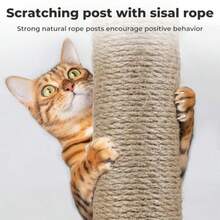 Pawz Cat Tower For Indoor Cats Sisal Scratching Post Ramp Large Cozy Wood Condo 360° Space Capsule Cat Cave MultiLevel Plush Cats Tower For Kittens Cat House With Removable Pads 160cm