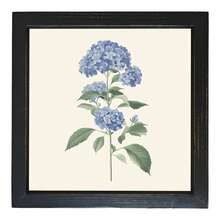 20.32x20.32 Summer Blue Hydrangea Wall Art With Wooden Frame - Elegant Floral Decor Living Room, Kitchen, Bedroom, Laundry, Bathroom - Mother'S Day Mom, Son, Daughter, Friend, Floral Home Decor - Black-1 - View 2