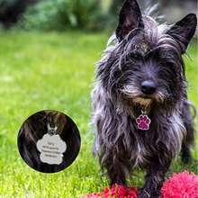 1 Pieza de Placa de Identificación Personalizada para Mascotas, Placa de Identificación en Forma de Garra de Color Rosa para Mascotas, Nombre de Mascota Personalizable, Número de Teléfono, Previene que la Mascota se Pierda, Placa de Identificación con Diseño de Pata de Gato que No se Desvanece, Placa de Identificación para Collar de Perro