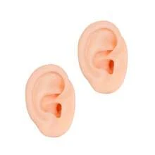 Silicone Left Ear Model For Acupuncture Practice, Soft Ear Display Teaching Model Used For Body Acupuncture And Jewelry Display