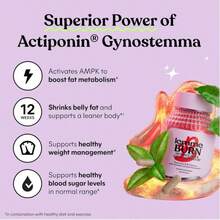 Lemme Burn AMPK Activator Fat Burner,Actiponin Gynostemma, Green Tea Extract,B6 & B12,Belly Fat Support & Metabolism Booster For Men & Women,Vegetarian, Gluten-Free,60 Capsules - 其他 - 查看 2