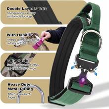 Pet Basic Dog Collars - Green - View 8