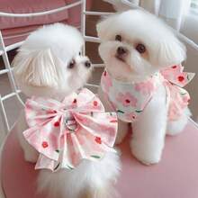 1pc Dog Dress With Leash, Princess Style, Suitable For Poodle, Teddy, Bichon Frise And Other Small Dogs, Spring/Autumn - Multicolor - View 5