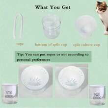 1pc Automatic Self-Watering No-Soil Cat Grass Planter With "Good Morning" Label, Indoor Plant Self-Watering Pot, & Easy To Clean Growth Tracking Tool, Pet-Friendly Home Decor - White