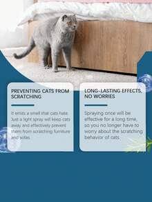 Spray repelente para gatos, spray dissuasor para animais de estimação para evitar que gatos subam em camas e móveis, proteção para casa. Spray dissuasor para uso diário em casa, dentro e fora de casa, spray repelente para gatos, impedindo que gatos subam em camas, mastigando móveis, restringindo áreas para animais de estimação, spray de treinamento amargo