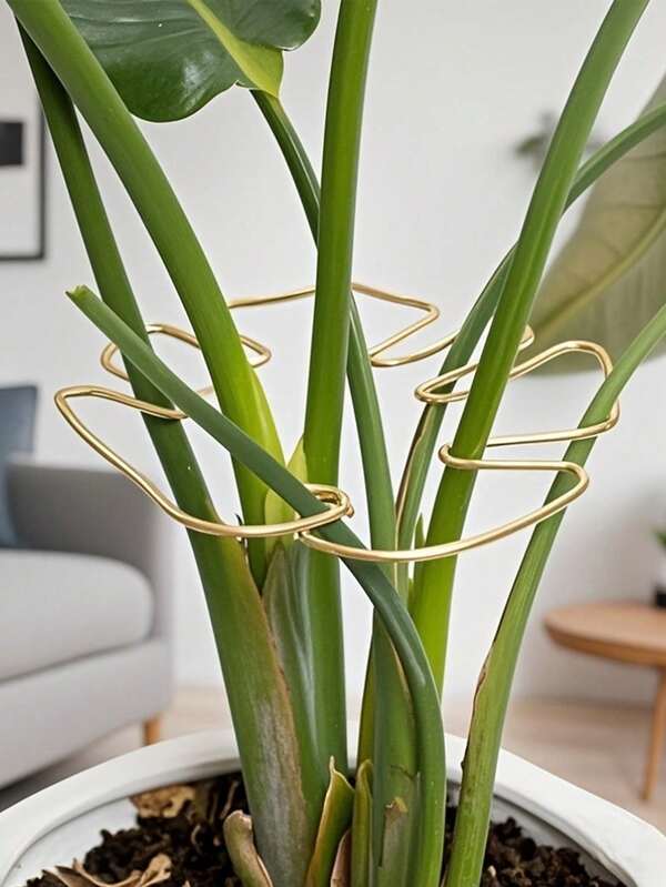 Sistema de estabilización y soporte duradero para Monstera - Soporte de planta trepadora de metal con mango de bambú, ideal para un crecimiento saludable de la planta y un soporte decorativo para el jardín, estructura de soporte para planta trepadora | Soporte para planta trepadora | Estabilizador de metal