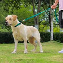 Waterproof Dog Collar, Easy-Clean Rubber Dog Collar With Quick-Release Buckle, Suitable For Small, Medium Or Large Dogs