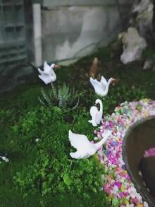 1/2/4件套优雅天鹅摆件 - 手工塑料家居装饰，橙色喙和蹼足，是客厅、办公室或婚礼礼物的理想之选，非常适合摆放在架子、壁炉架或桌面上，也适合婚礼装饰。优雅的天鹅造型，做工精致，天鹅摆件，迷你景观DIY配件，绝佳的家居装饰品。