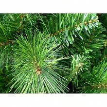 RS Trade HXT Series Artificial Christmas Trees 120-270 Cm, Flame Retardant Fir Trees With Quick Assembly Folding System Incl.Metal Christmas Tree Stand - Natural Snow - View 11