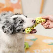 Interactive Dog Leash Toy, Suitable For Dogs Of All Sizes To Chew And Interact. Multi-Functional Chew Rope For Indoor/Outdoor Training And Dental Cleaning - Sturdy Pet Accessory - Multicolor - View 6